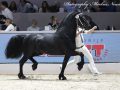 IMG_4871-Jorke-532