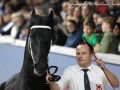 IMG_4885-Jorke-532