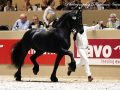 IMG_0204-Jorn-430