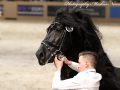 IMG_0299-Jorn-430