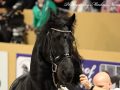 IMG_0775-Jorn-430