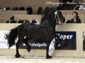 IMG_4592-Jorn-430