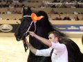 IMG_4796-Jorn-430