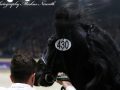 IMG_5278-Jorn-430