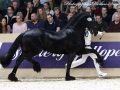 IMG_5320-Jorn-430