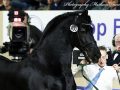 IMG_5333-Jorn-430
