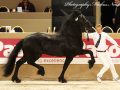 IMG_7885-Jorn-430