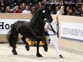 IMG_7944-Jorn-430