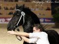 IMG_8446-Jorn-430