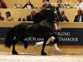 IMG_1404-Jouwe-485