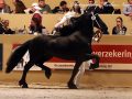 IMG_1407-Jouwe-485