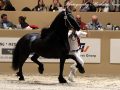 IMG_1411-Jouwe-485