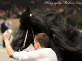IMG_1421-Jouwe-485