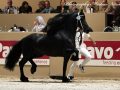 IMG_1425-Jouwe-485