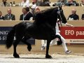 IMG_1434-Jouwe-485