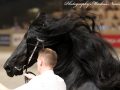IMG_1451-Jouwe-485