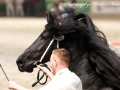 IMG_2045-Jouwe485