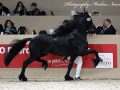 IMG_2902-Jouwe-485