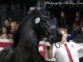 IMG_2917-Jouwe-485