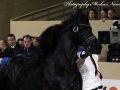 IMG_4464-Jouwe-485