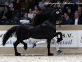 IMG_4479-Jouwe-485