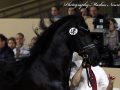 IMG_4495-Jouwe-485