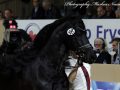 IMG_4496-Jouwe-485