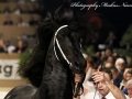 IMG_1478-Julius-486