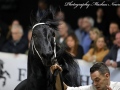IMG_2942-Julius-486