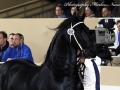 IMG_4519-Julius-486