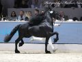 IMG_5054-Kanne-534