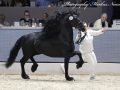 IMG_5086-Kanne-534