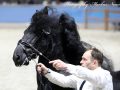 IMG_5097-Kanne-534