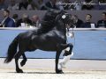 IMG_5115-Kanne-534