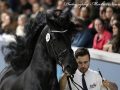 IMG_5142-Kanne-534