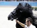 IMG_5143-Kanne-534