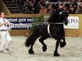 IMG_9893-Karel370