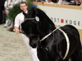 IMG_9902-Karel370
