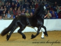 img_3288-karel370