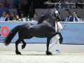 IMG_4687-Kees-531