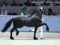 IMG_4699-Kees-531
