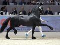 IMG_4705-Kees-531