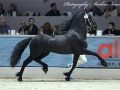 IMG_4711-Kees-531