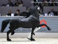 IMG_4783-Kees-531