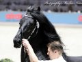 IMG_4830-Kees-531