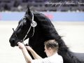 IMG_4833-Kees-531