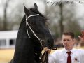 IMG_9736-Kees-531