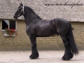 crw_8220-leffert306