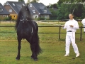 Liekele-3