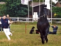 Liekele-5